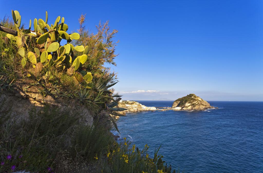 Costa Del Capitano Seaside Villas Sant'Angelo  エクステリア 写真